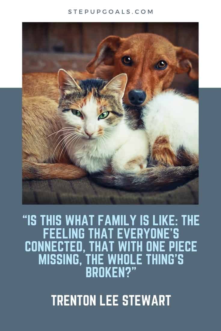 Family quotes you can share on Pinterest