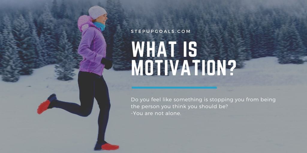 What is Motivation